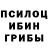 Галлюциногенные грибы Cubensis Ky Huynh