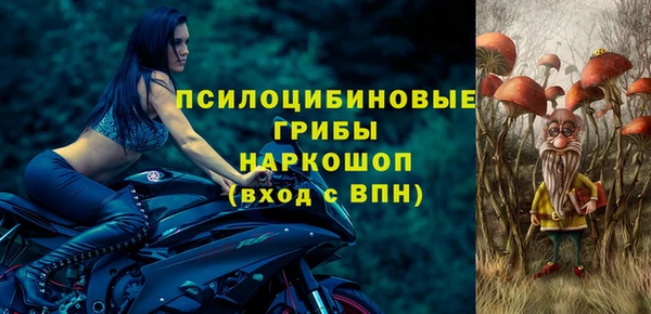 PSILOCYBIN Богородск