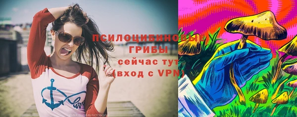 a pvp Богданович