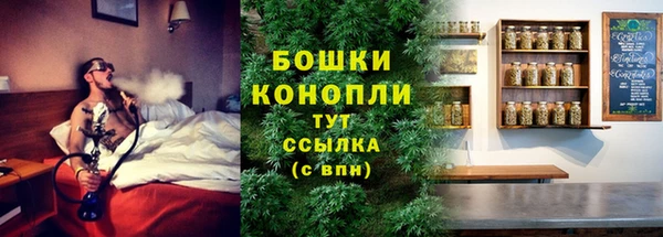 МДПВ Богородицк