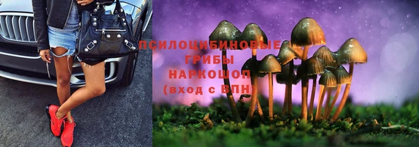 МДПВ Богородицк