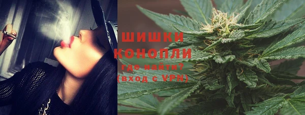 шишки Армянск