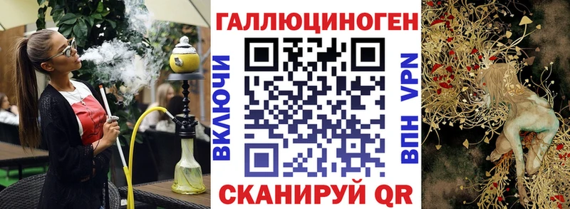 где найти Улан-Удэ Псилоцибиновые грибы MAGIC MUSHROOMS