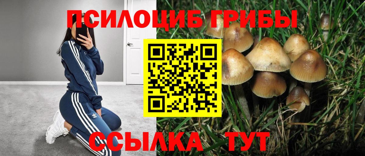 Псилоцибиновые грибы MAGIC MUSHROOMS Улан-Удэ